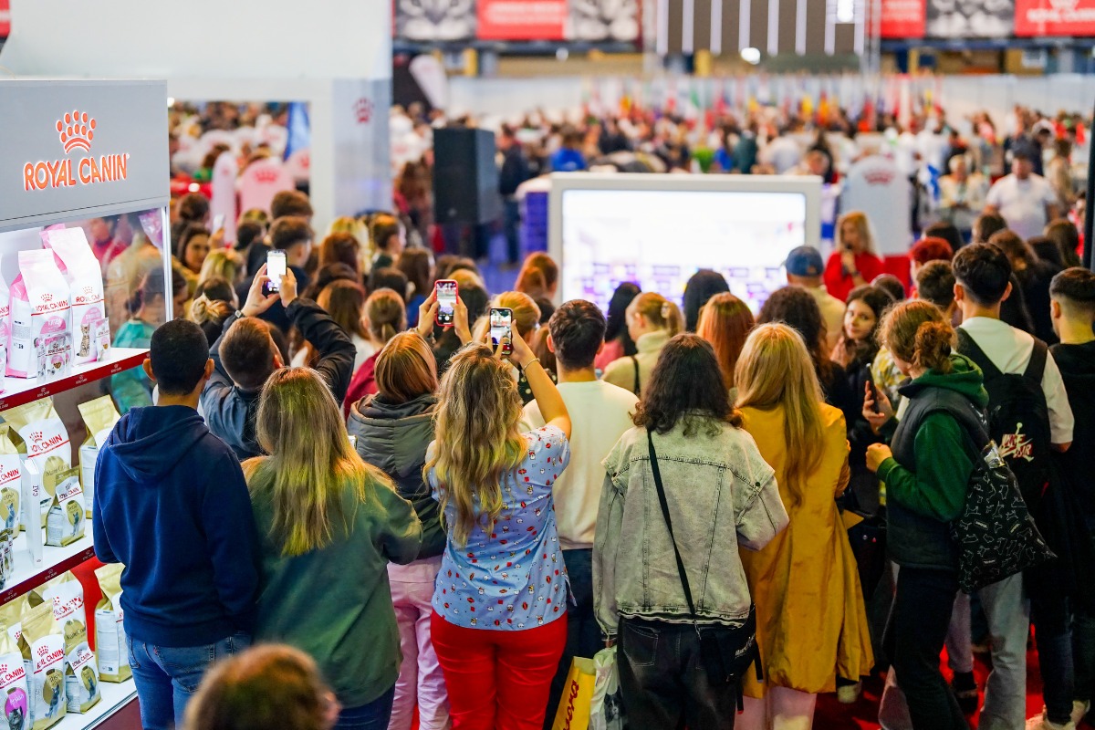 mulțime-eveniment-royal-canin-pisici