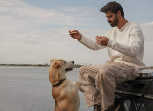 Ștefan Floroaica stă pe botul unei mașini și se joacă cu câinele