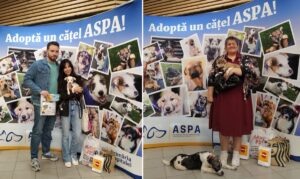targ de adoptii ASPA