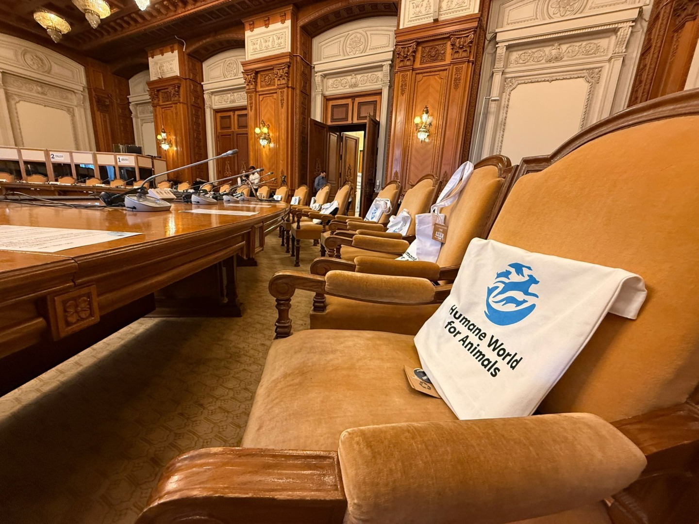 WhatsApp Image 2025-11-03 at 11.03.56 (1)