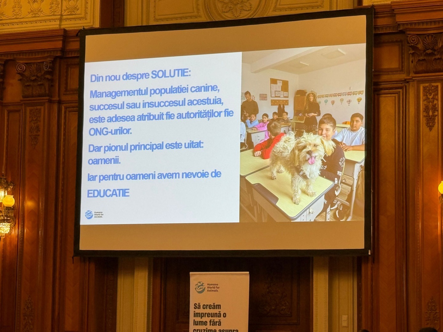 WhatsApp Image 2025-11-03 at 12.56.25