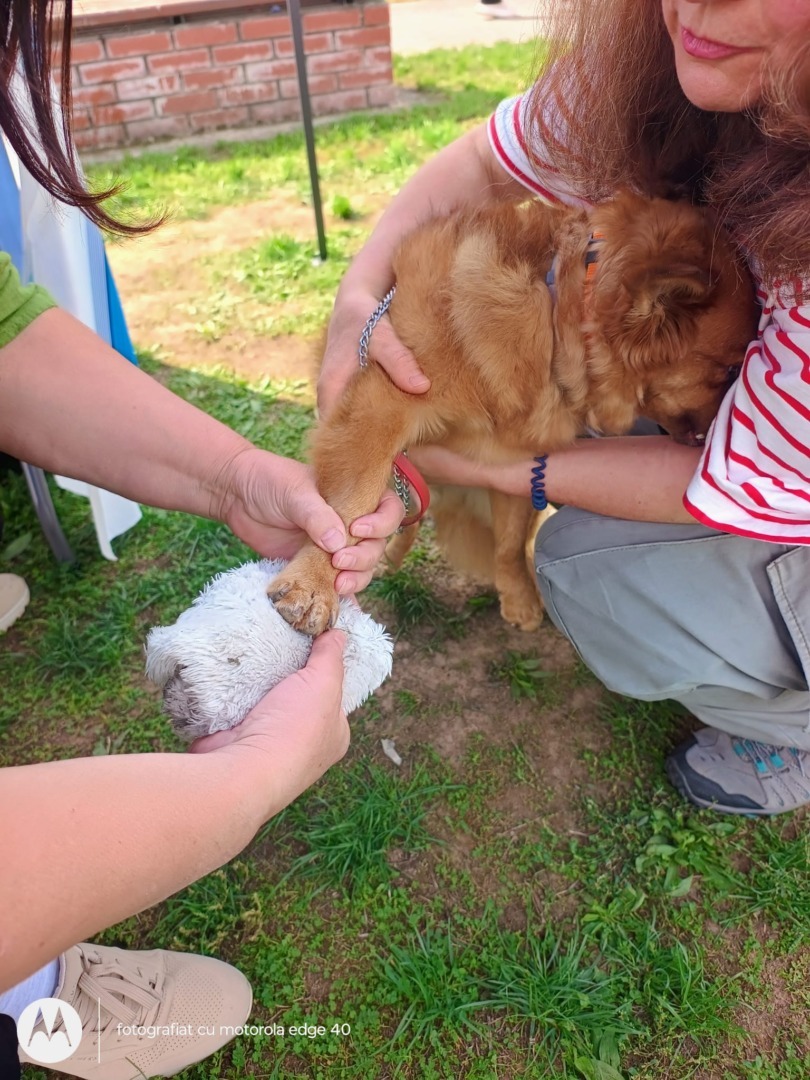 WhatsApp Image 2025-11-04 at 09.45.41 (1)