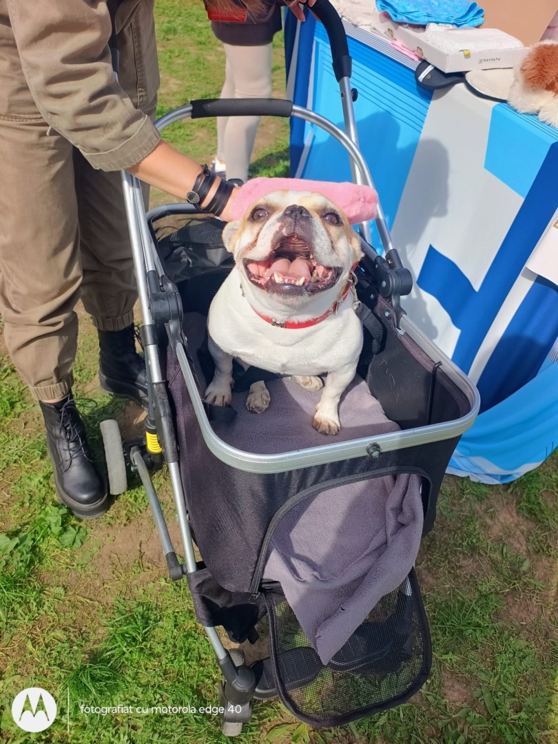 WhatsApp Image 2025-11-04 at 09.45.43