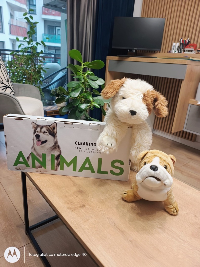 WhatsApp Image 2025-11-04 at 09.45.44