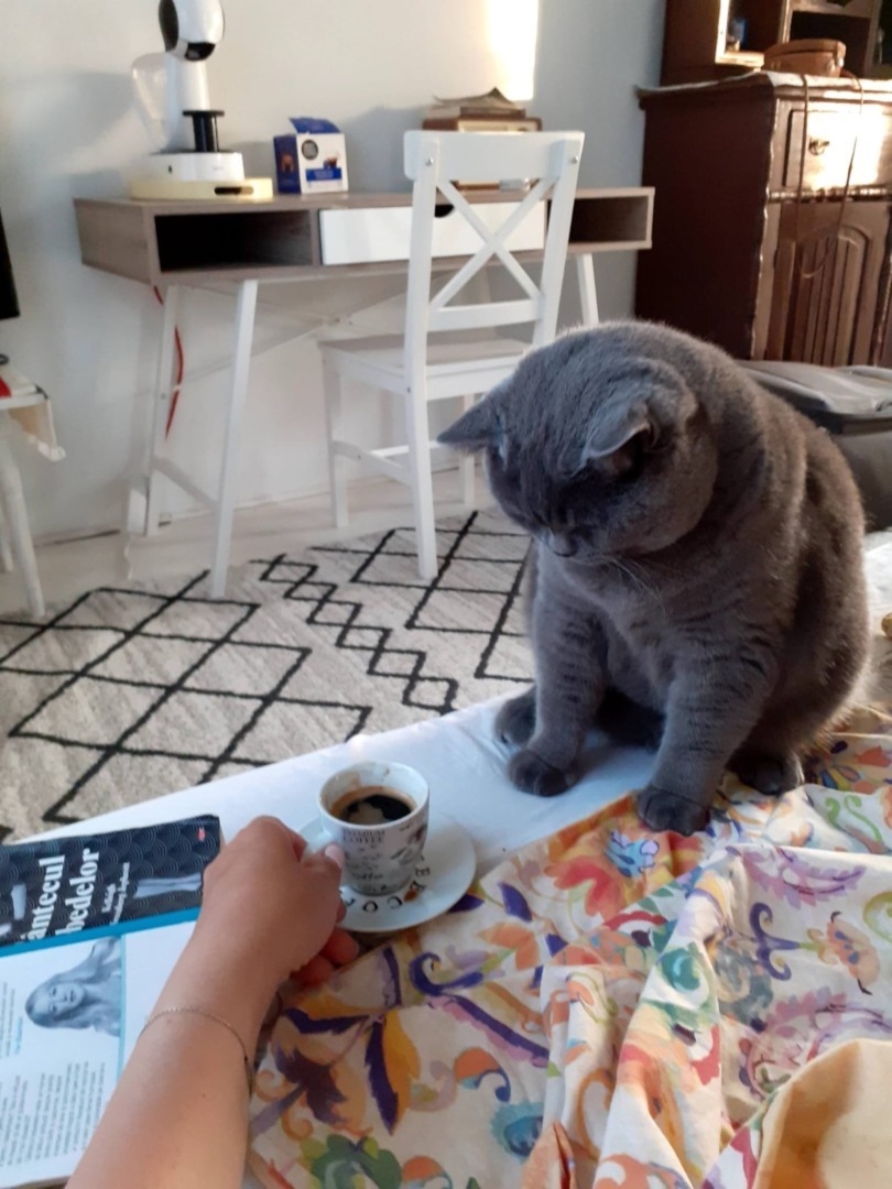 WhatsApp Image 2025-11-04 at 09.45.45 (3)