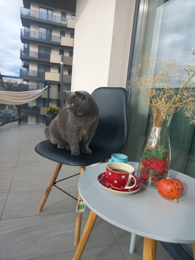 WhatsApp Image 2025-11-04 at 09.45.45 (4)