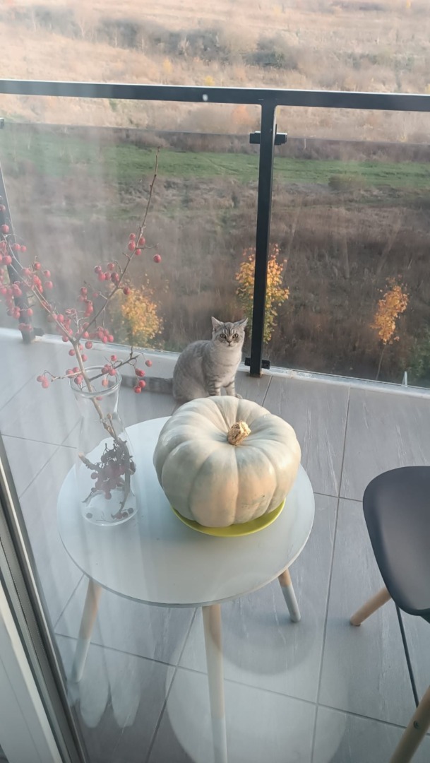 WhatsApp Image 2025-11-04 at 09.45.46 (2)