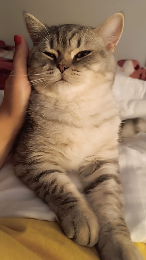 WhatsApp Image 2025-11-04 at 09.45.46 (3)