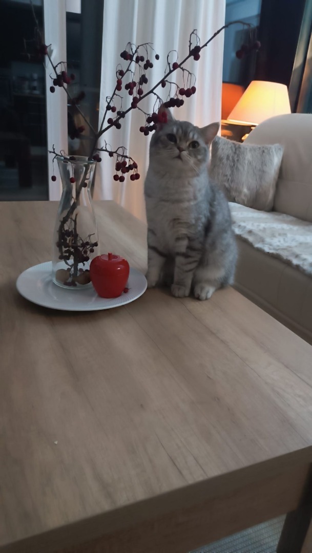 WhatsApp Image 2025-11-04 at 09.45.46 (4)