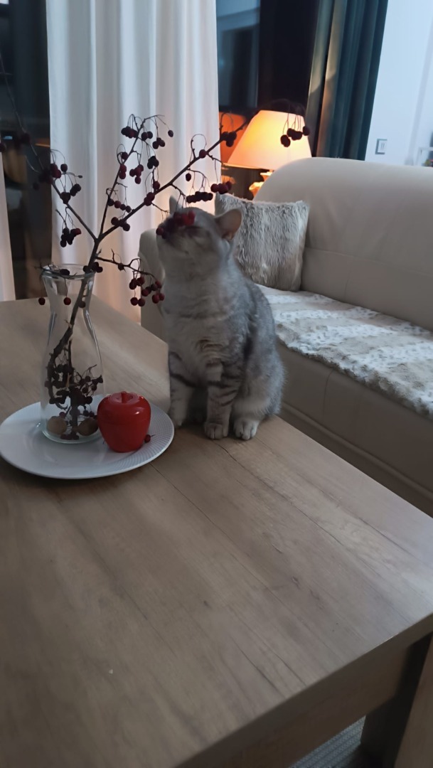 WhatsApp Image 2025-11-04 at 09.45.46 (6)