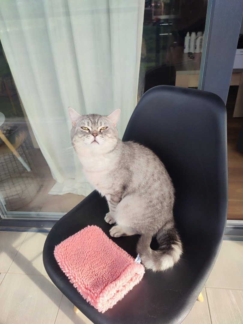 WhatsApp Image 2025-11-04 at 09.45.46 (7)