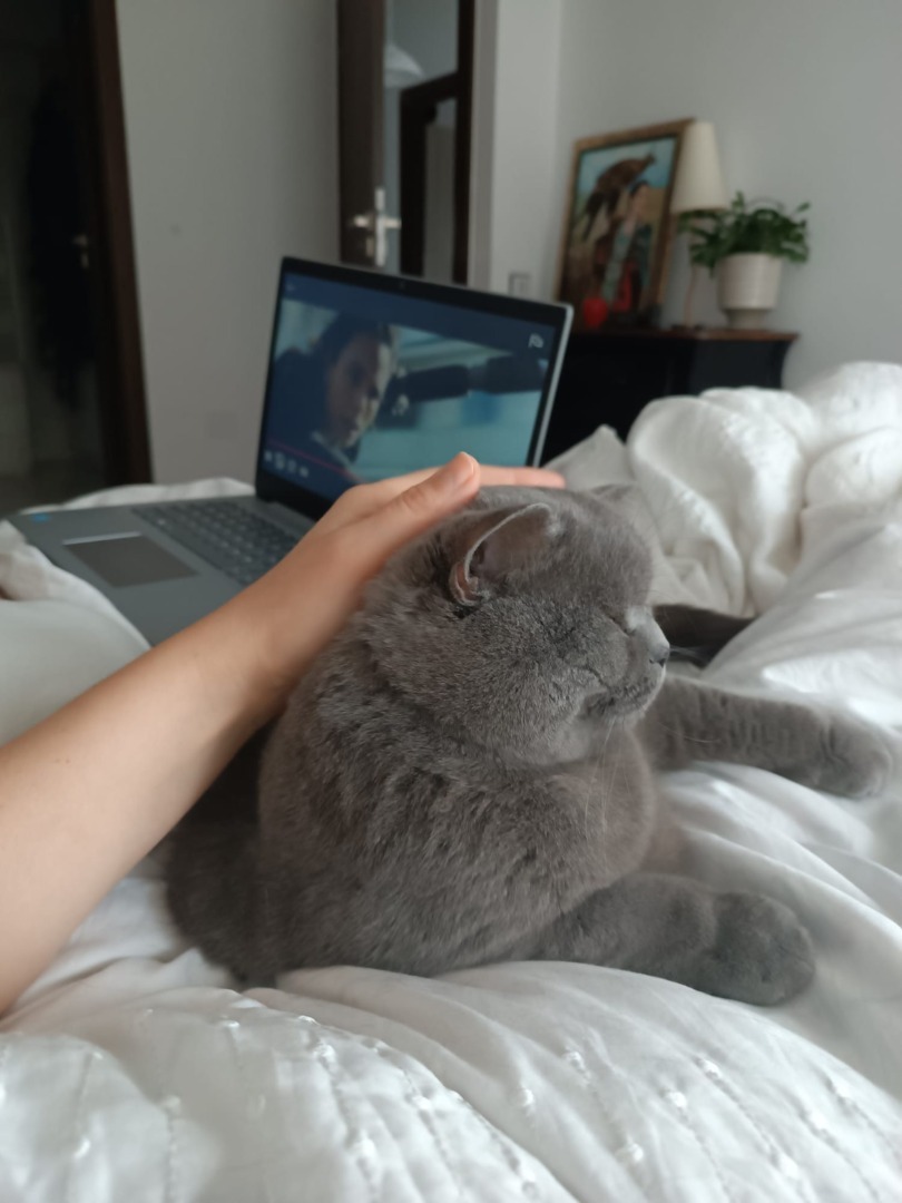 WhatsApp Image 2025-11-04 at 09.45.46