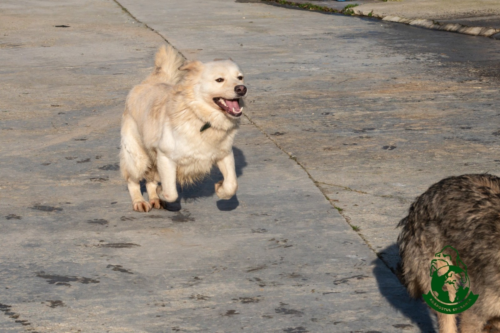 WhatsApp Image 2025-11-05 at 13.30.51 (1)