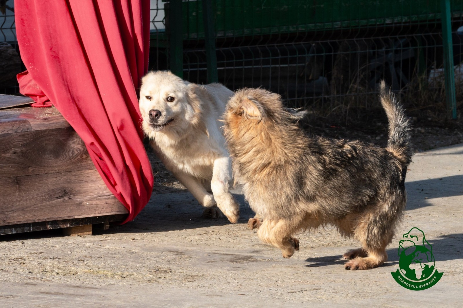 WhatsApp Image 2025-11-05 at 13.30.51