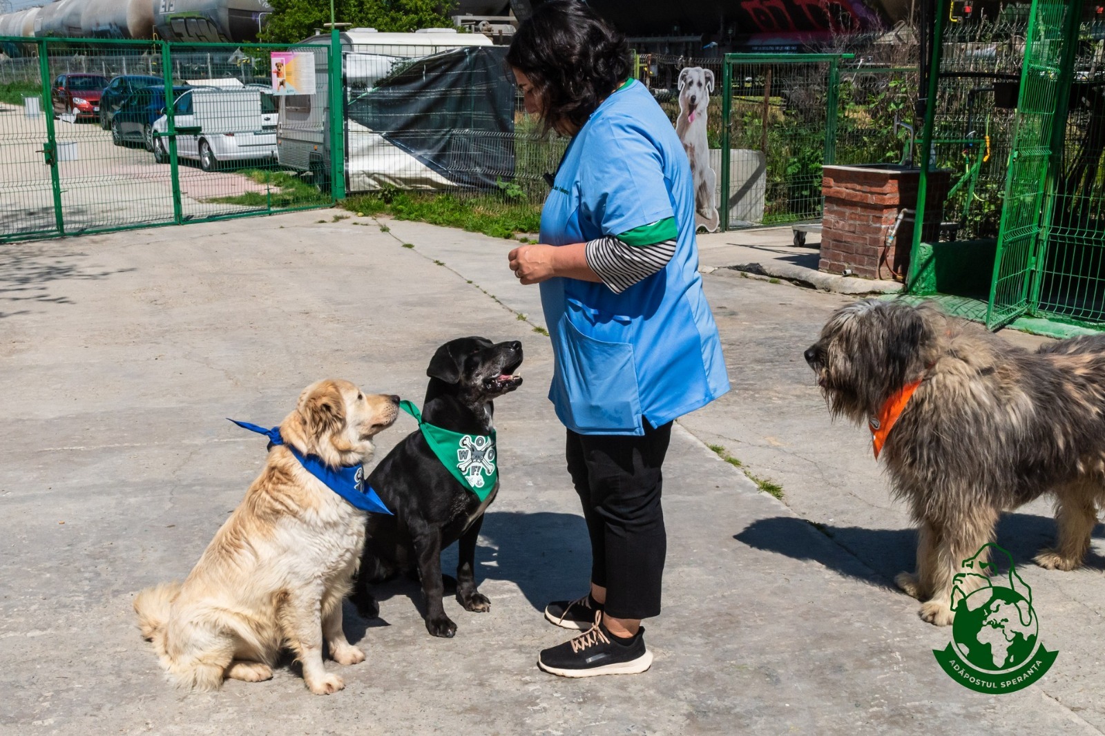 WhatsApp Image 2025-11-05 at 13.30.53