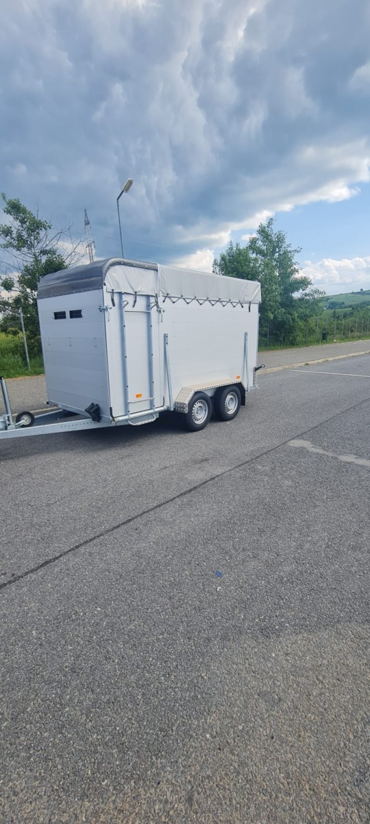 WhatsApp Image 2025-11-05 at 20.22.21 (1)