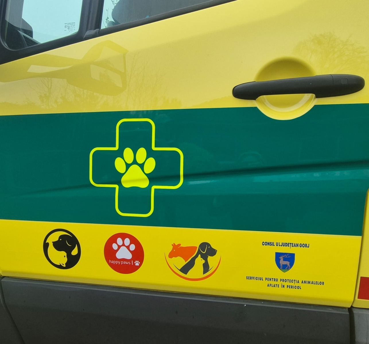 WhatsApp Image 2025-11-05 at 20.22.21