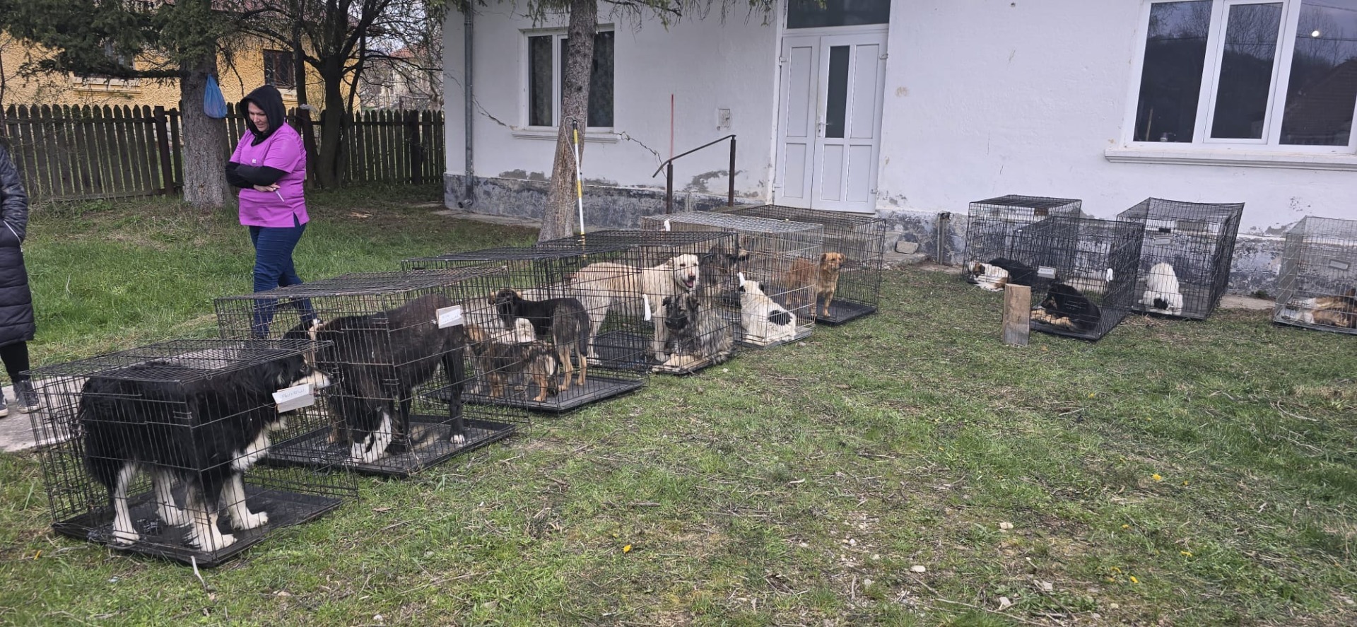 WhatsApp Image 2025-11-05 at 20.22.23 (4)