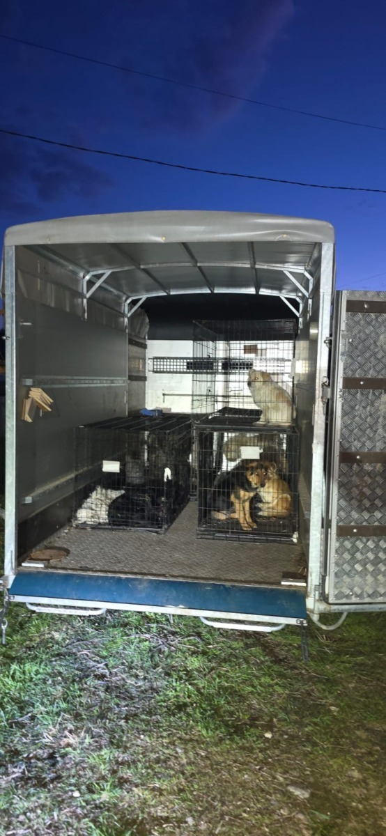 WhatsApp Image 2025-11-05 at 20.22.23 (5)