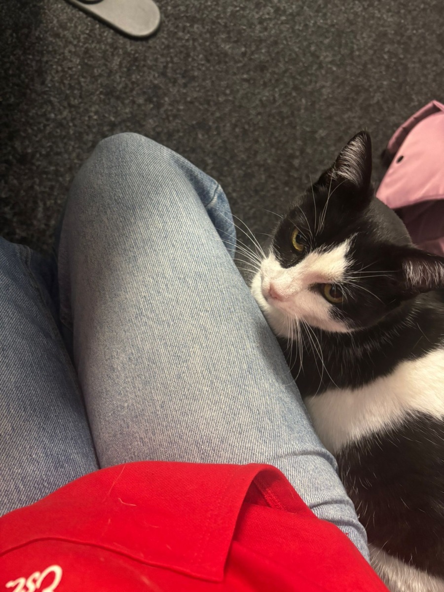 WhatsApp Image 2025-11-06 at 12.27.58 (1)