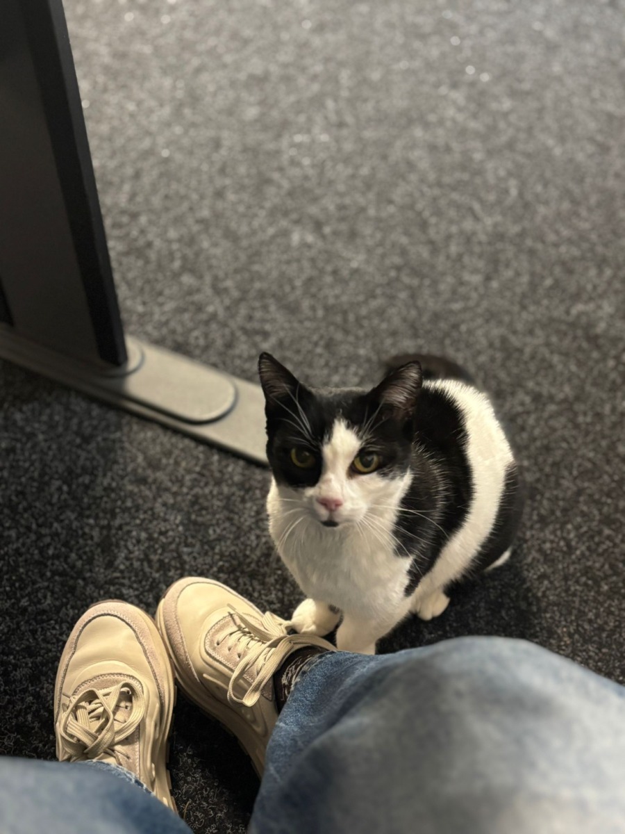 WhatsApp Image 2025-11-06 at 12.27.58