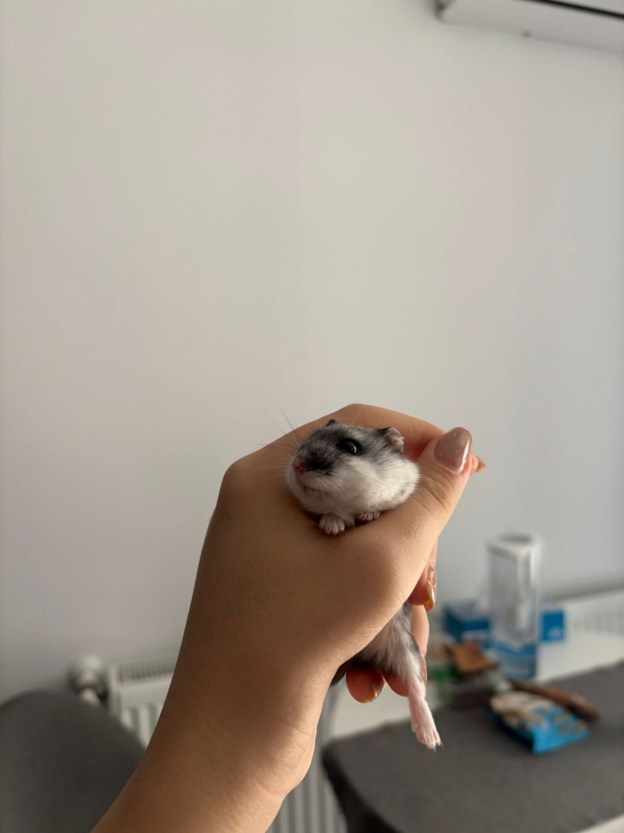 WhatsApp Image 2025-11-06 at 12.29.43