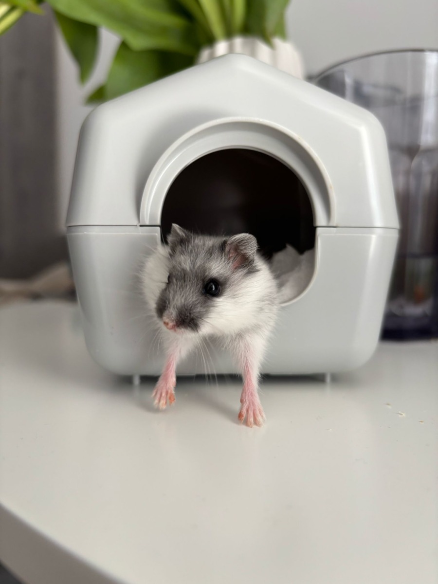 WhatsApp Image 2025-11-06 at 12.29.52