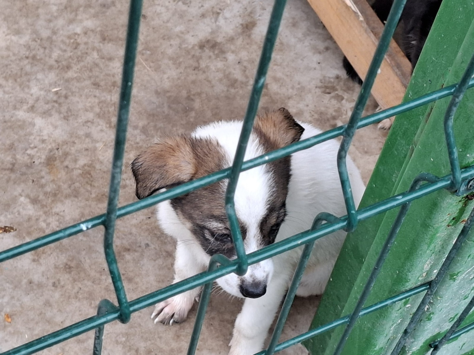 WhatsApp Image 2025-11-10 at 11.29.24