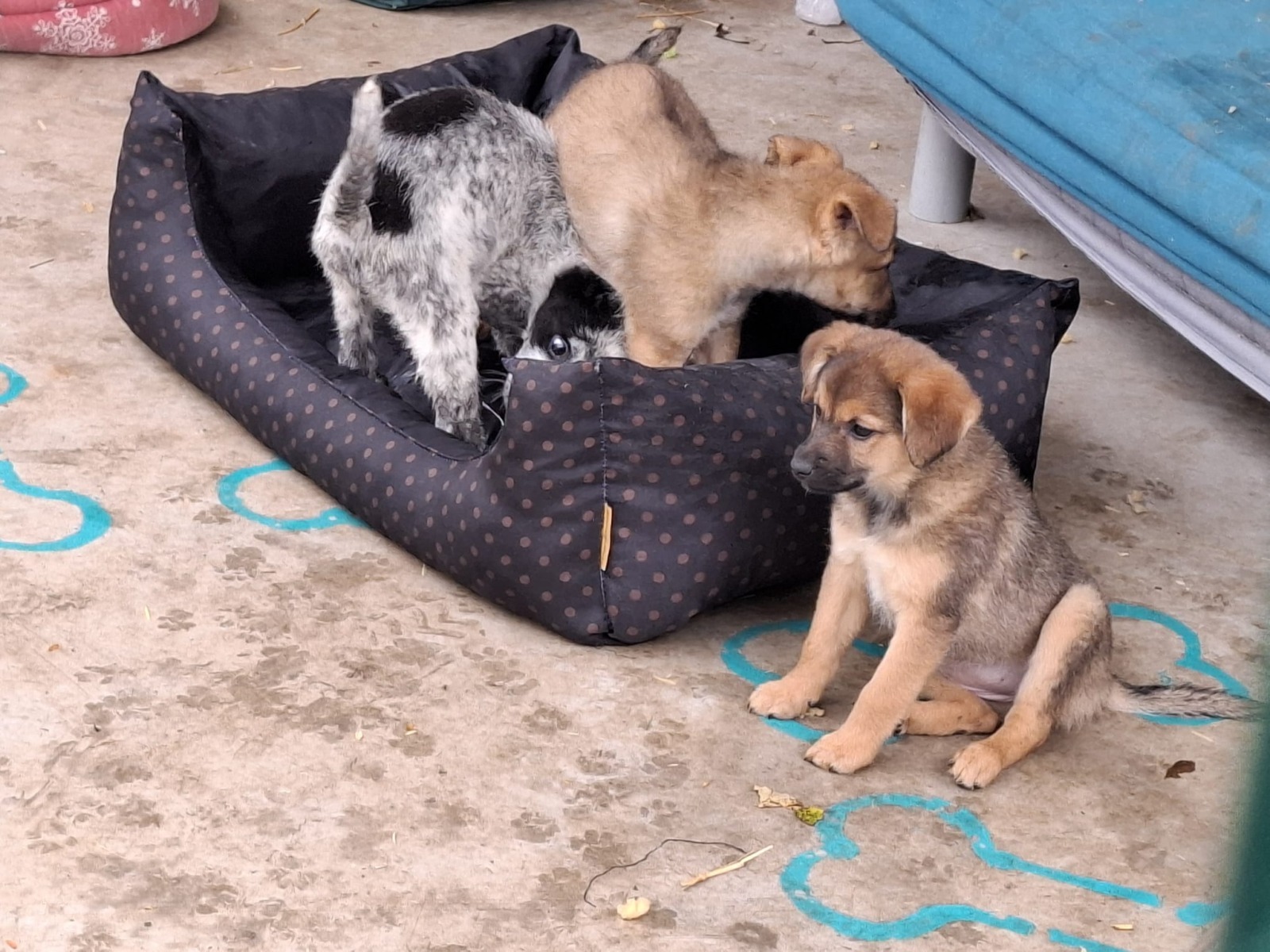 WhatsApp Image 2025-11-10 at 11.29.25