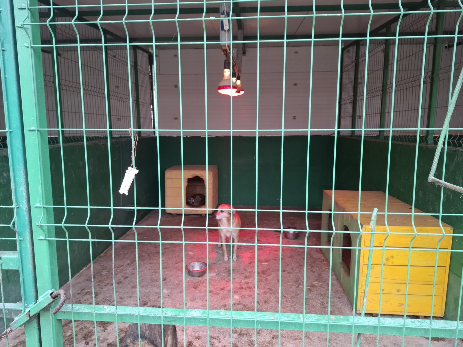 WhatsApp Image 2025-11-10 at 11.29.26 (1)