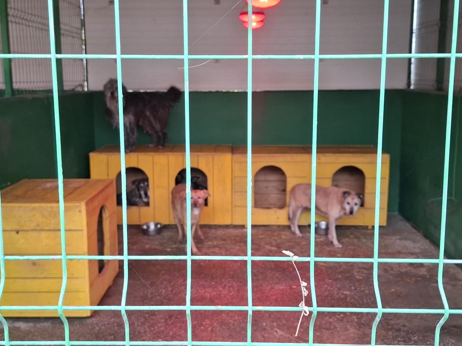 WhatsApp Image 2025-11-10 at 11.29.26 (2)