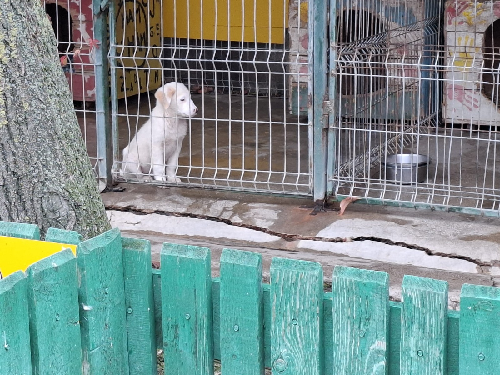 WhatsApp Image 2025-11-10 at 11.29.26