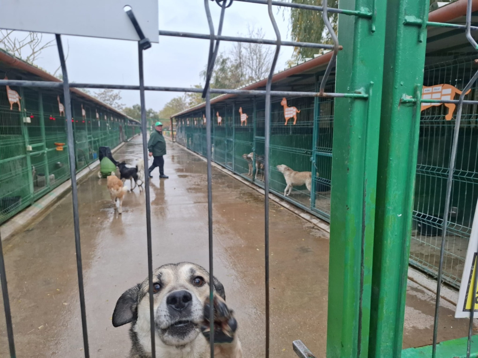 WhatsApp Image 2025-11-10 at 11.29.27 (1)