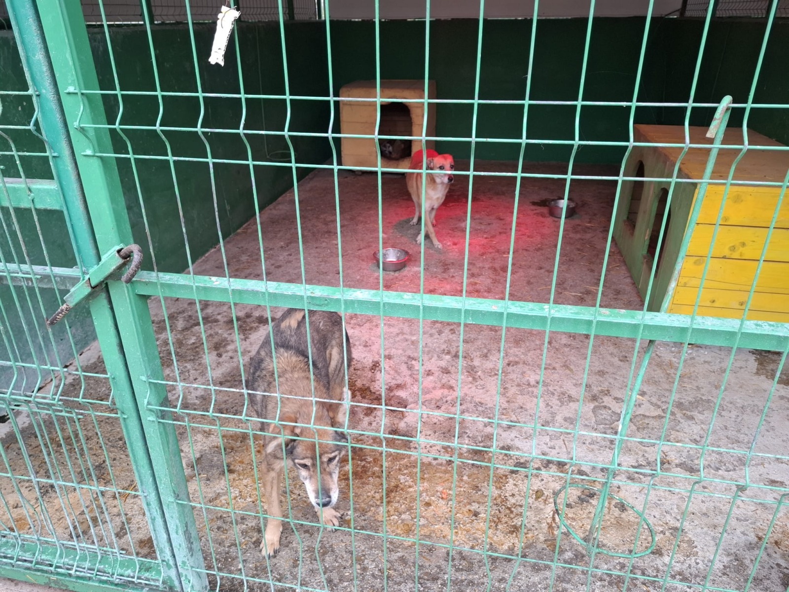 WhatsApp Image 2025-11-10 at 11.29.27