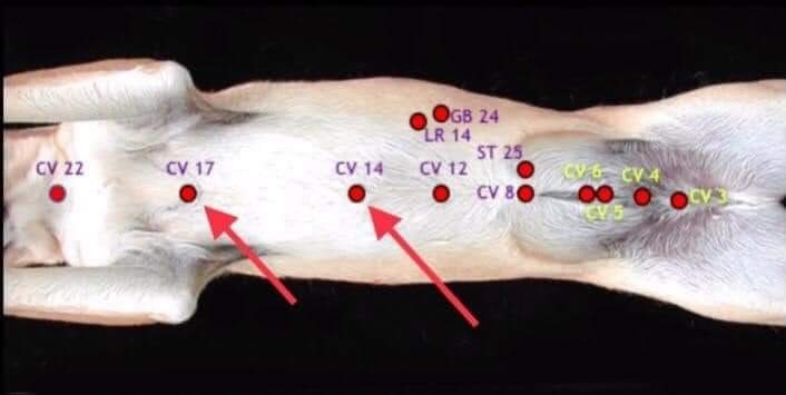 WhatsApp Image 2025-11-14 at 15.18.40 (1)