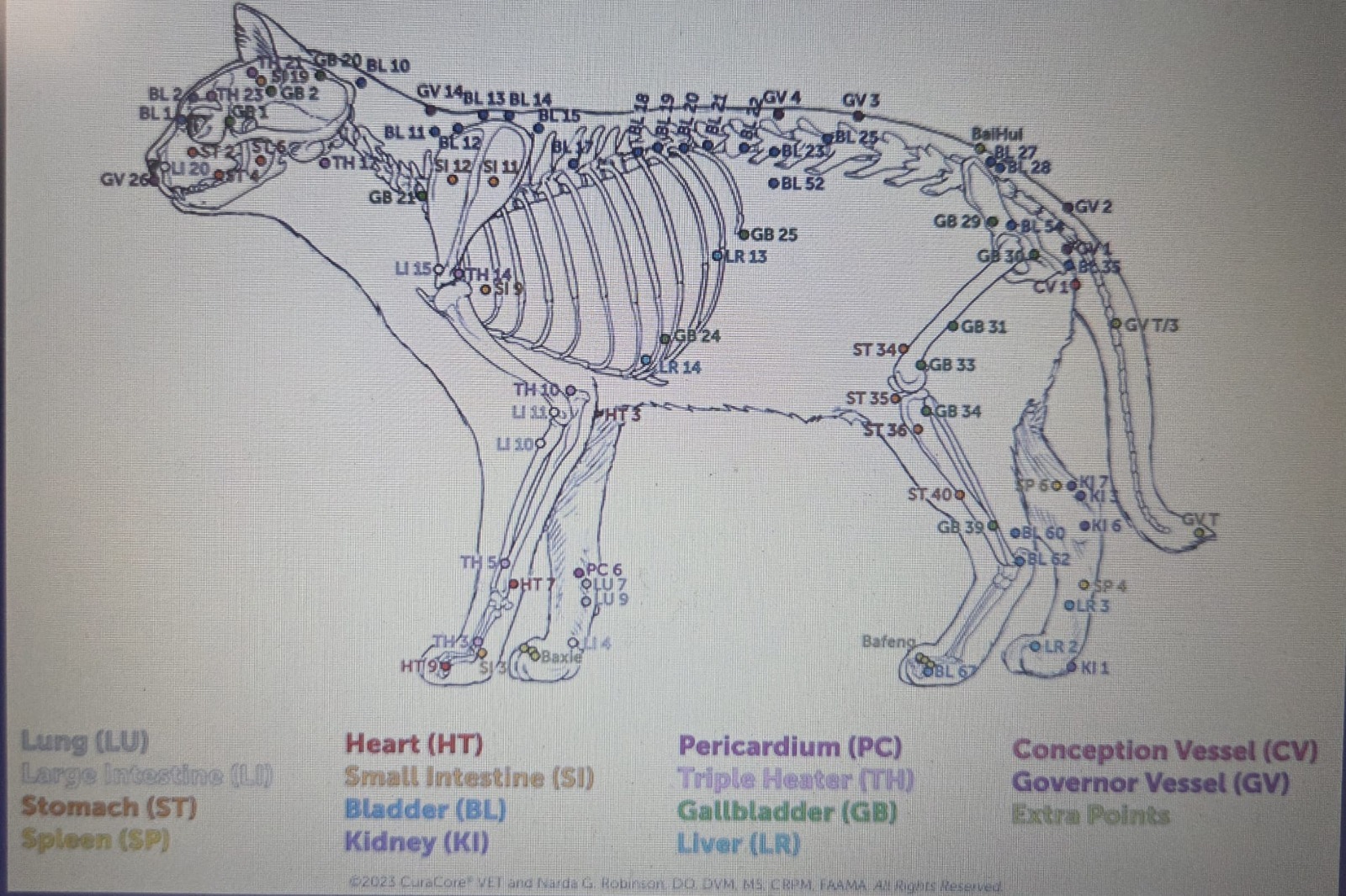 WhatsApp Image 2025-11-14 at 15.18.40 (2)