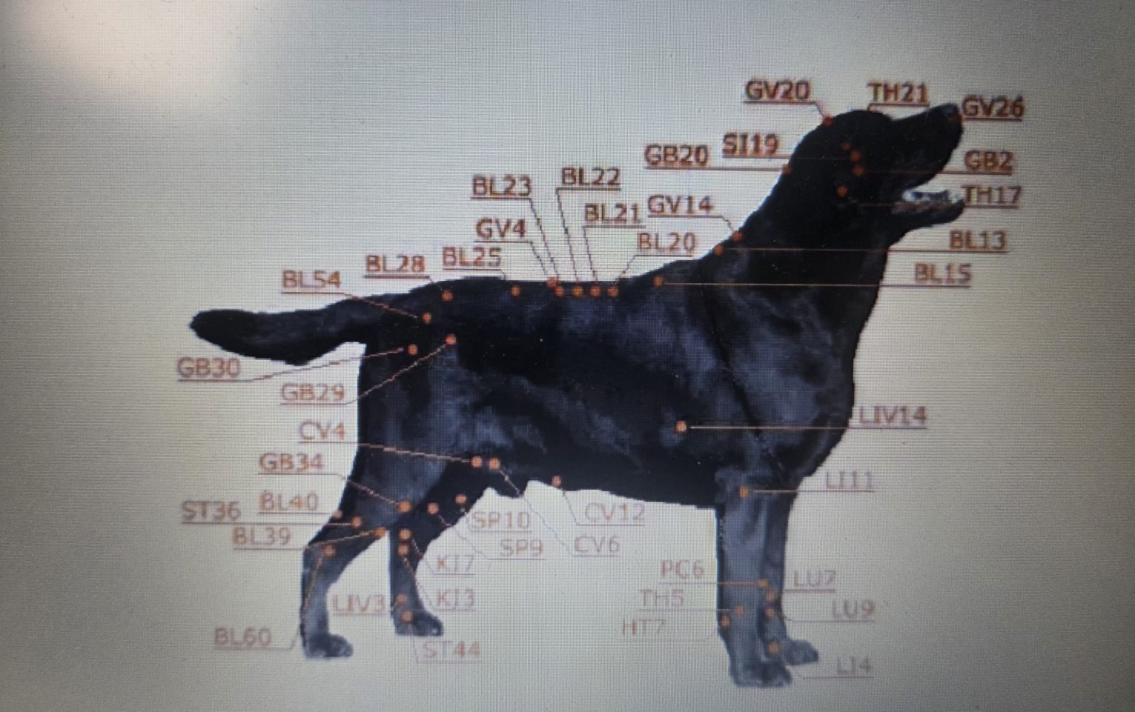 WhatsApp Image 2025-11-14 at 15.18.40 (3)