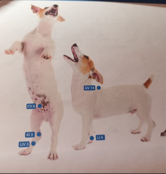 WhatsApp Image 2025-11-14 at 15.18.40