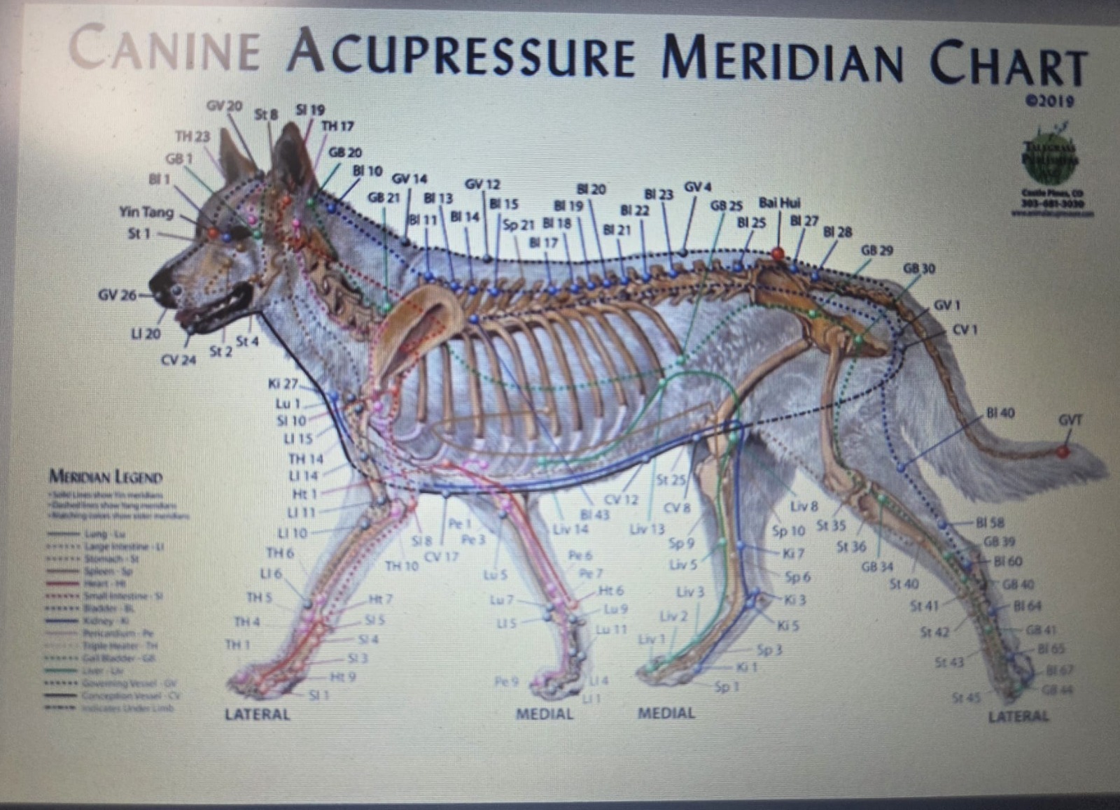 WhatsApp Image 2025-11-14 at 15.18.41