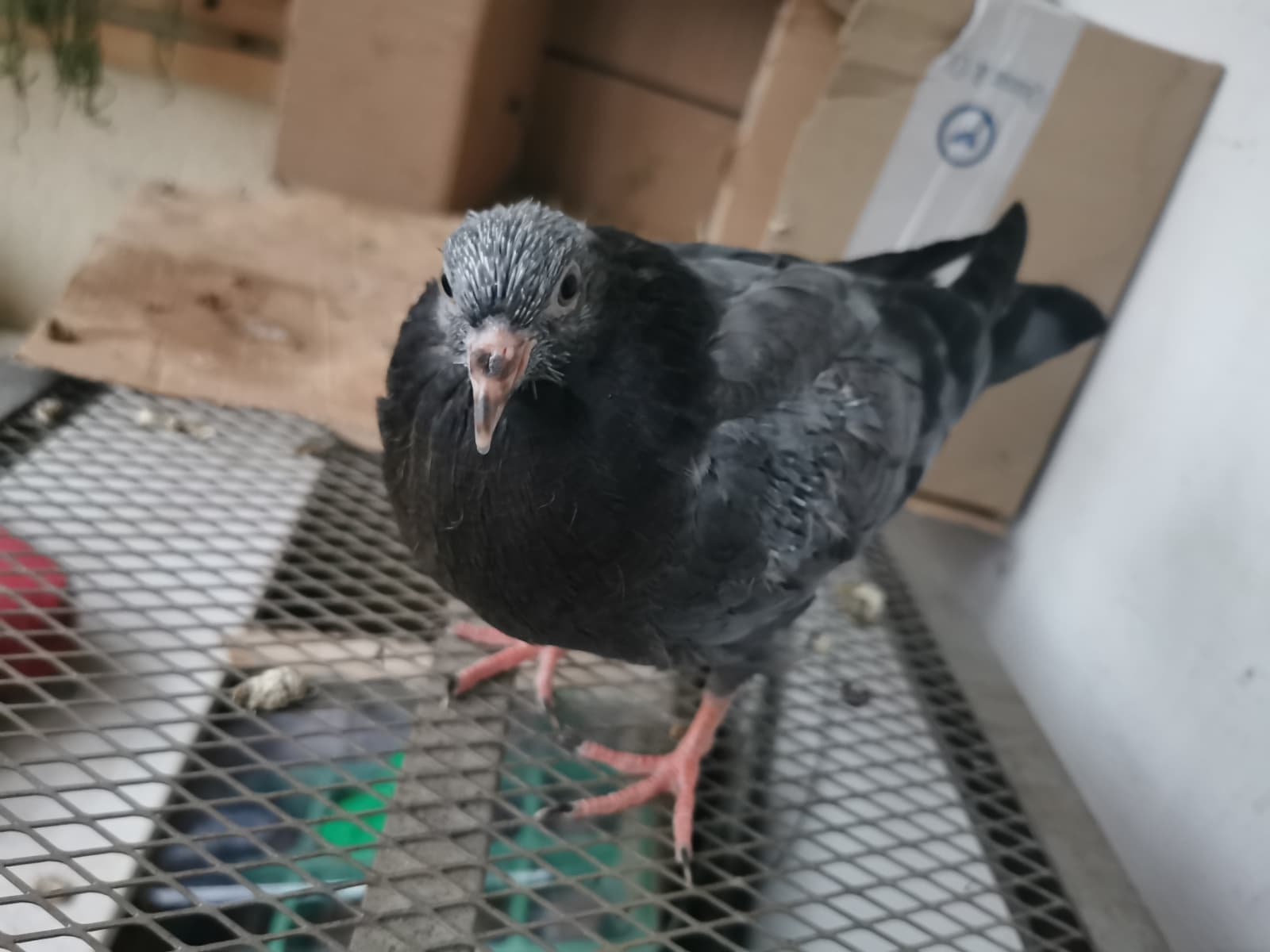 WhatsApp Image 2025-11-14 at 15.19.32