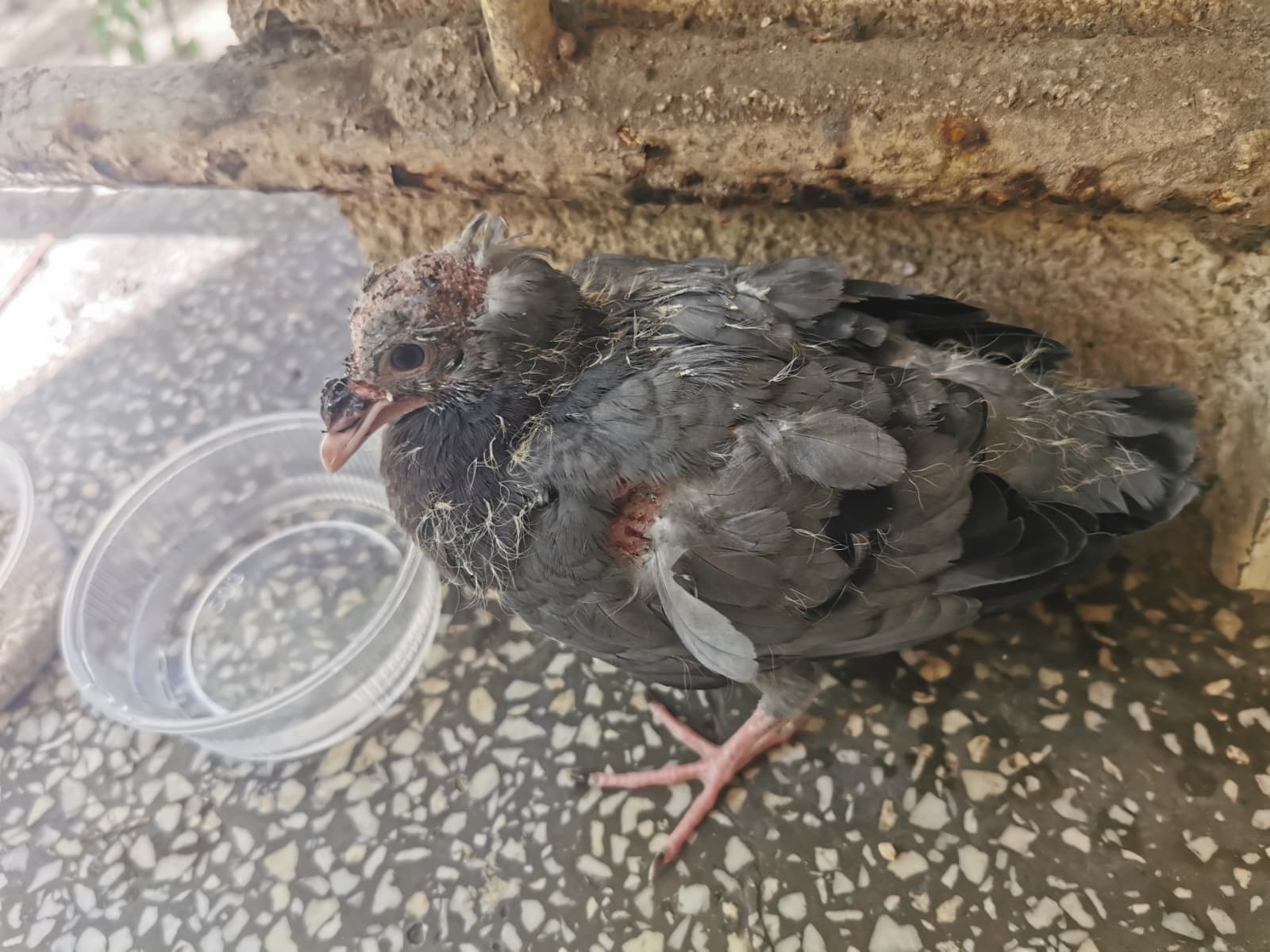 WhatsApp Image 2025-11-14 at 15.19.33 (1)