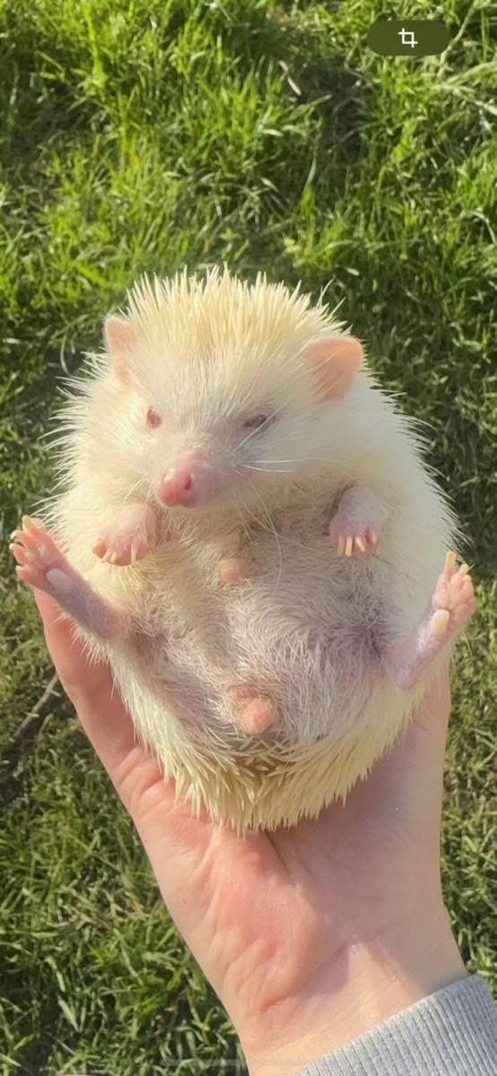 WhatsApp Image 2025-11-14 at 15.19.33 (2)