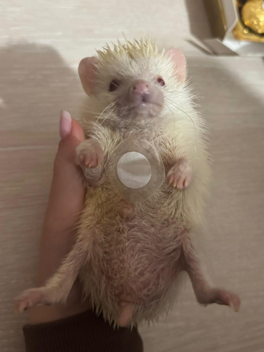 WhatsApp Image 2025-11-14 at 15.19.33 (3)