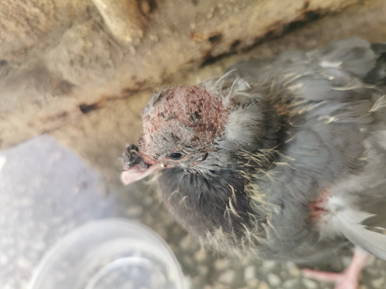 WhatsApp Image 2025-11-14 at 15.19.33