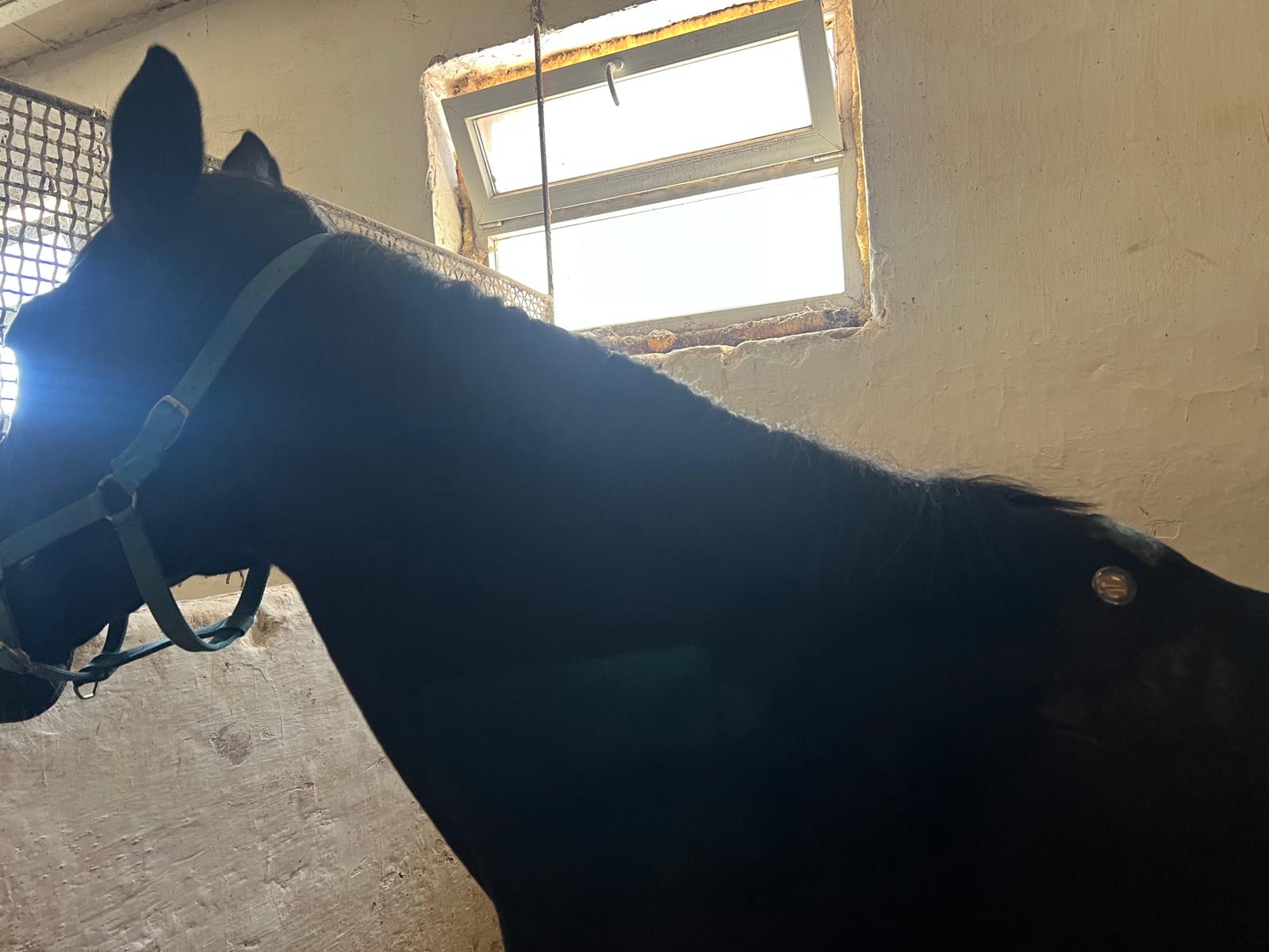 WhatsApp Image 2025-11-14 at 15.19.34 (1)