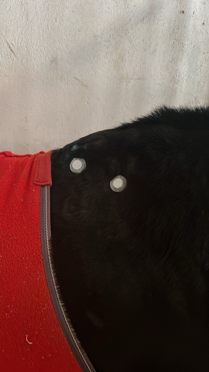 WhatsApp Image 2025-11-14 at 15.19.34 (2)