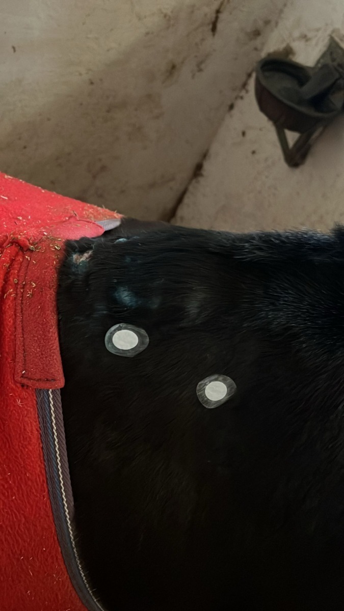 WhatsApp Image 2025-11-14 at 15.19.34 (3)