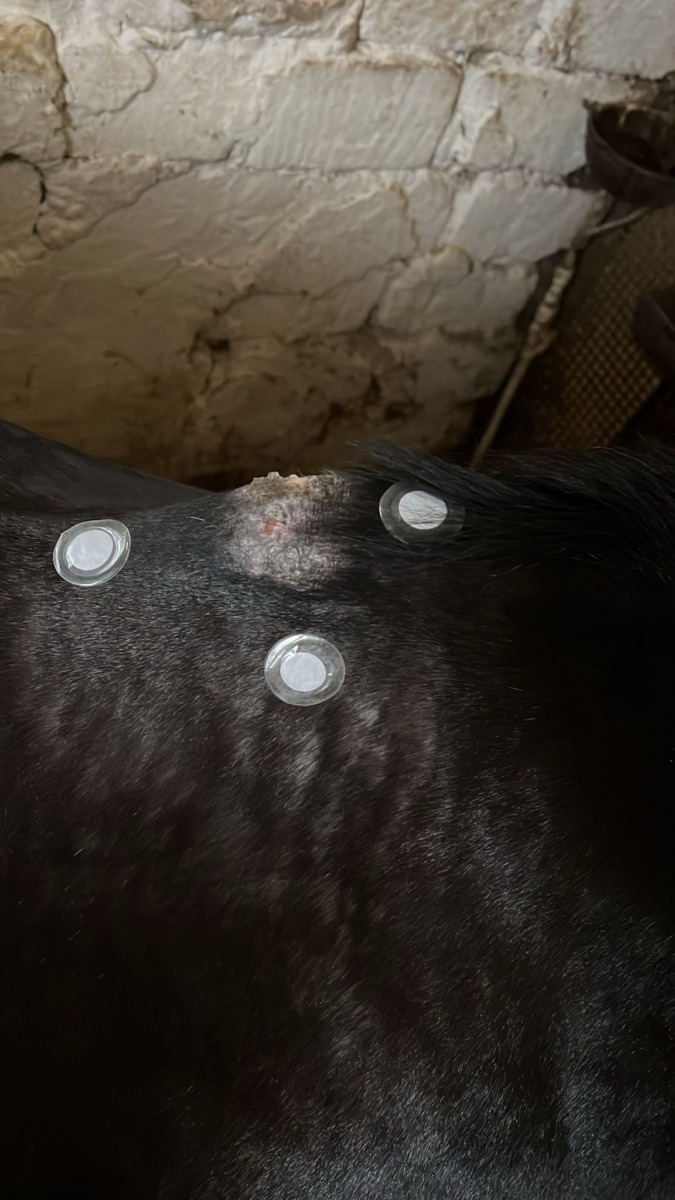 WhatsApp Image 2025-11-14 at 15.19.34 (4)