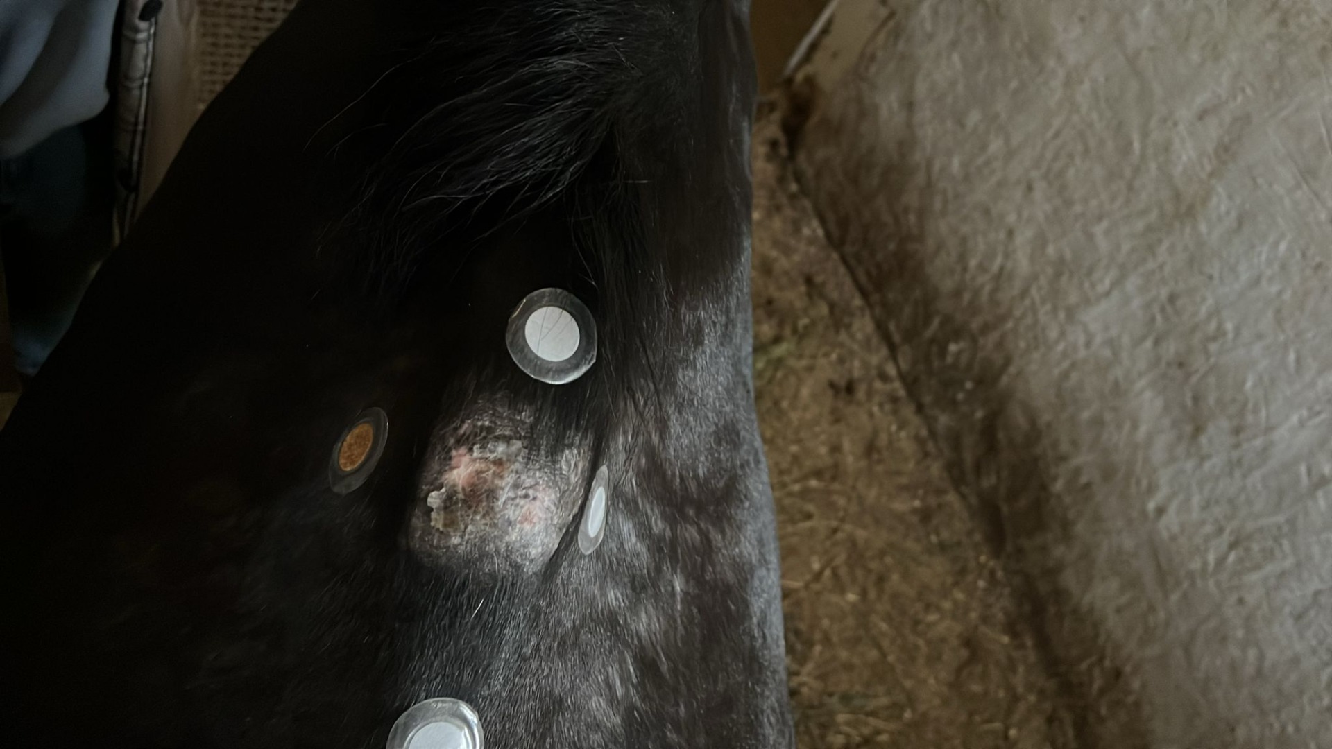 WhatsApp Image 2025-11-14 at 15.19.34 (5)