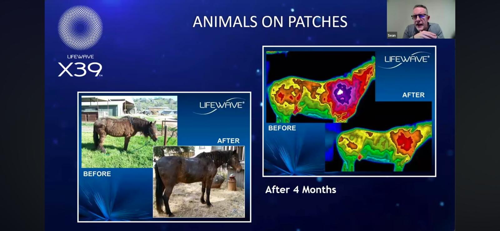 WhatsApp Image 2025-11-14 at 15.19.34 (6)